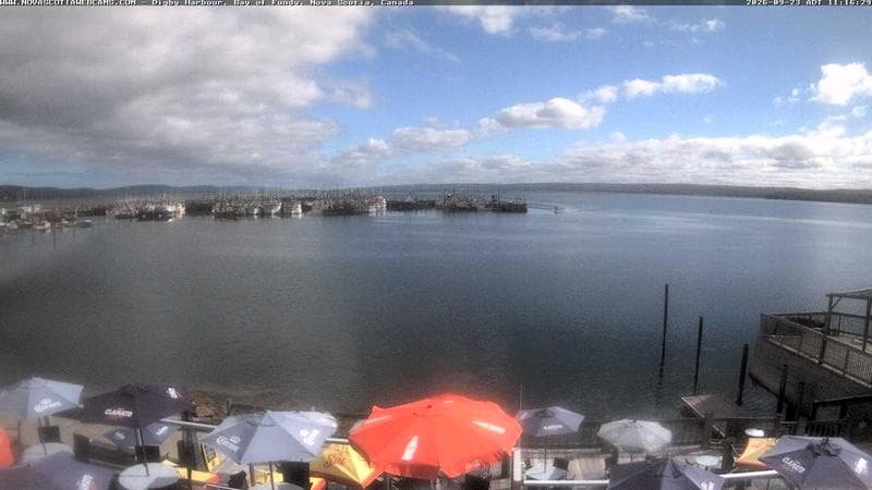Digby Harbour