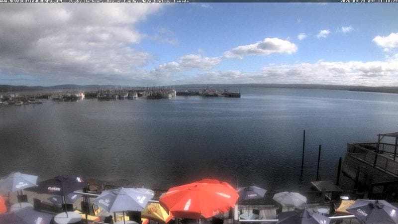 Digby Harbour