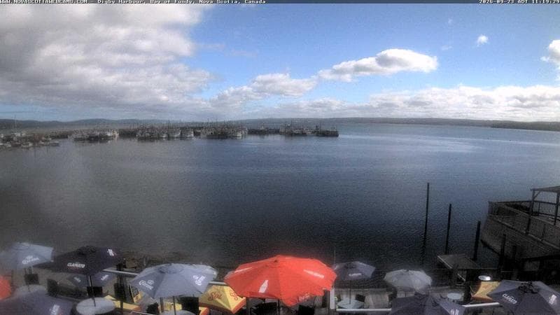 Digby Harbour