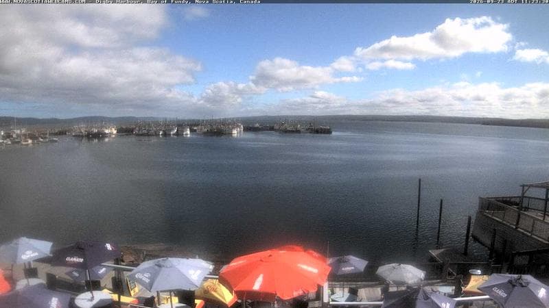 Digby Harbour