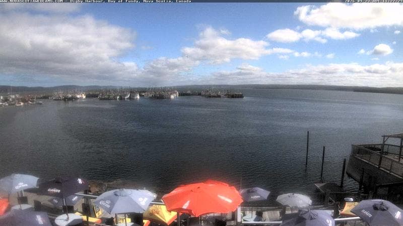 Digby Harbour