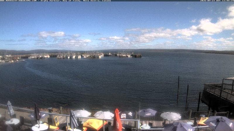 Digby Harbour