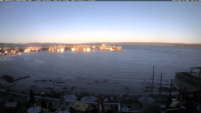 Digby Harbour