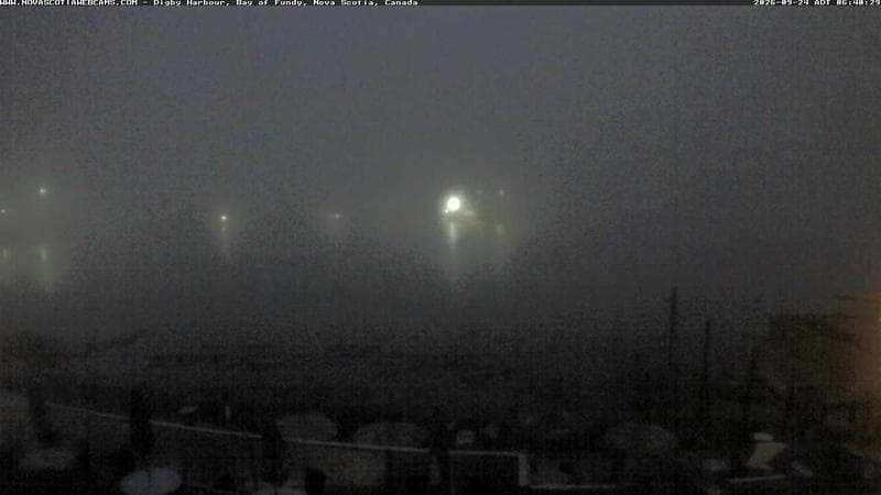 Digby Harbour
