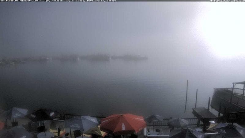 Digby Harbour