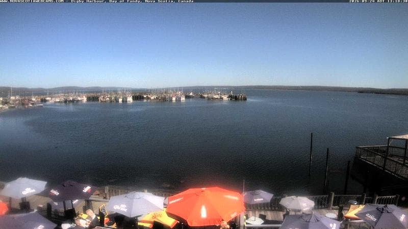 Digby Harbour