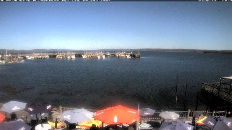 Digby Harbour