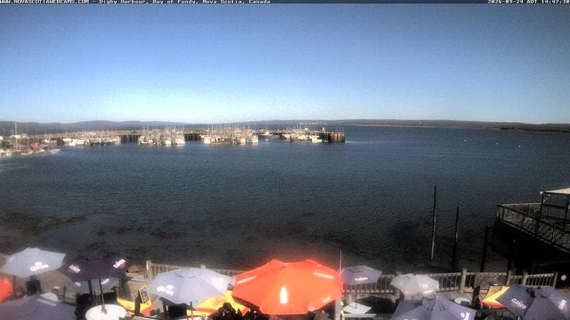 Digby Harbour