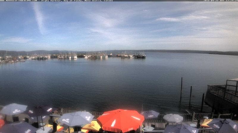 Digby Harbour