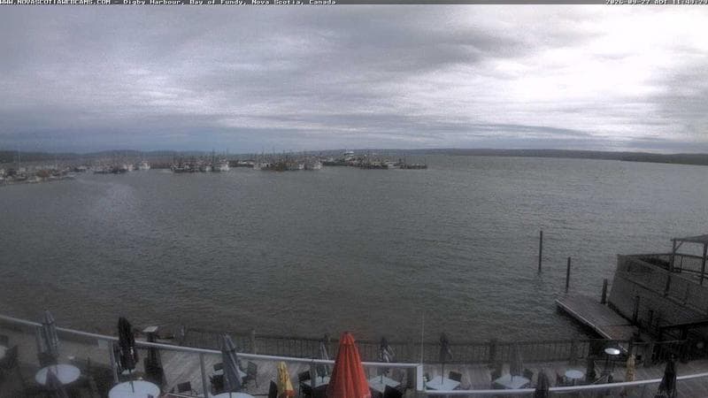 Digby Harbour