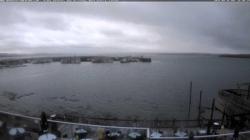 Digby Harbour