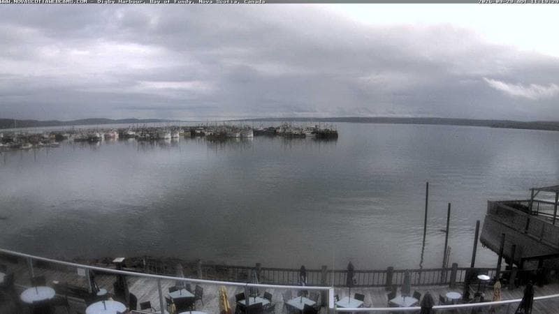 Digby Harbour