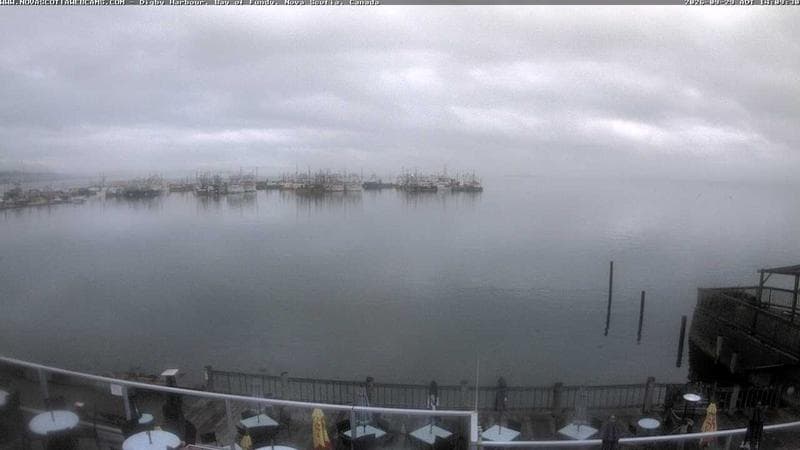 Digby Harbour