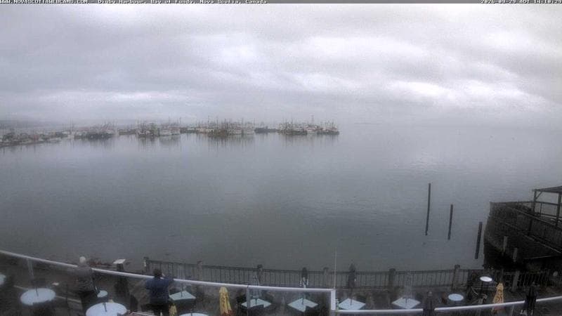 Digby Harbour