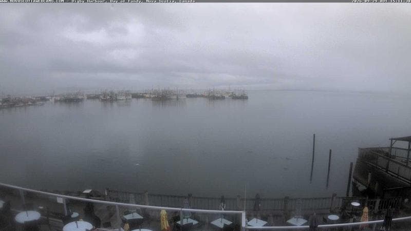 Digby Harbour