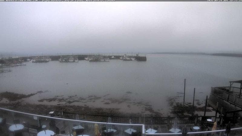 Digby Harbour