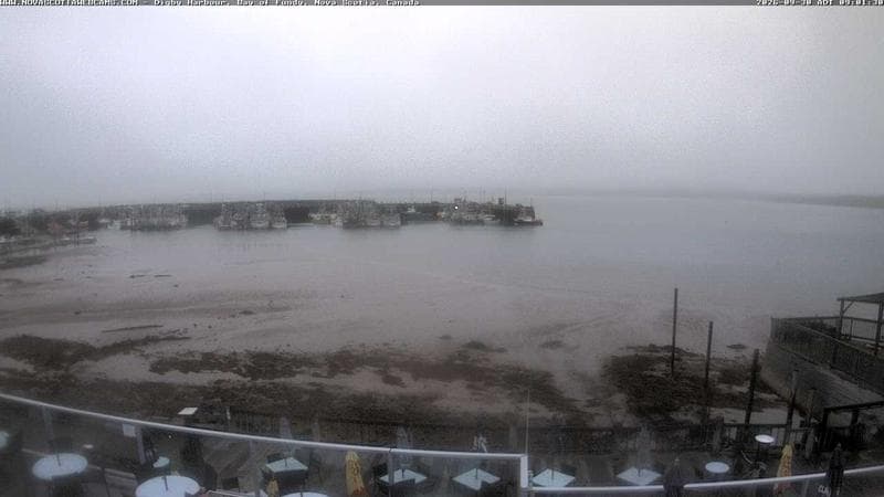 Digby Harbour