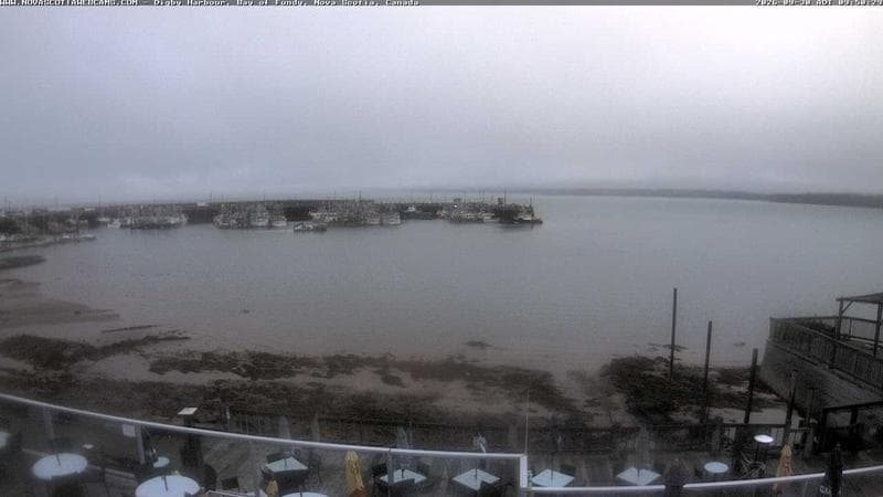 Digby Harbour