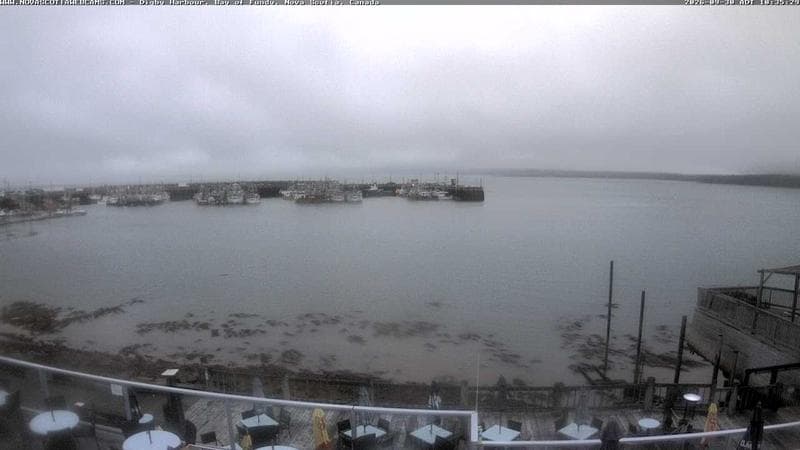 Digby Harbour