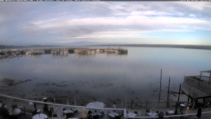 Digby Harbour