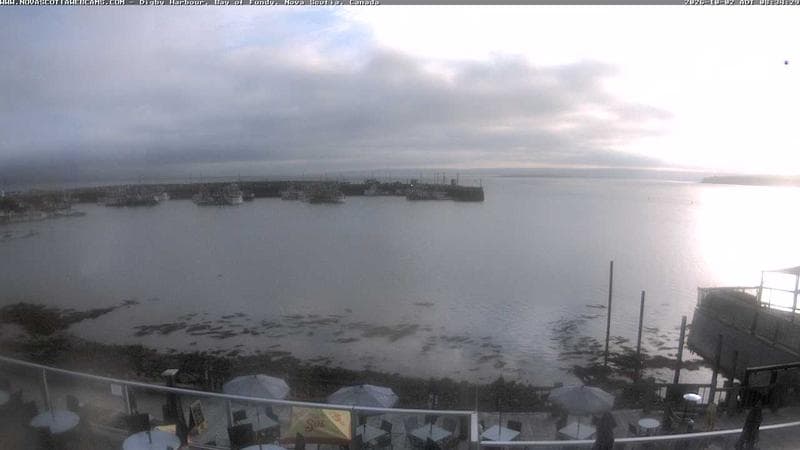 Digby Harbour