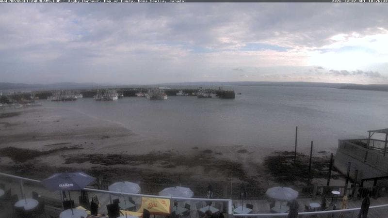 Digby Harbour