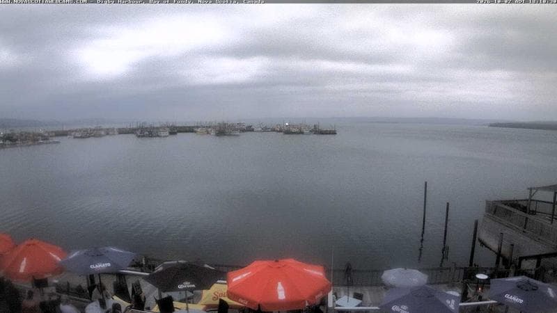 Digby Harbour