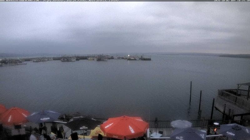 Digby Harbour