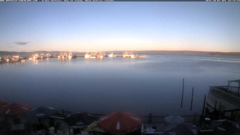 Digby Harbour