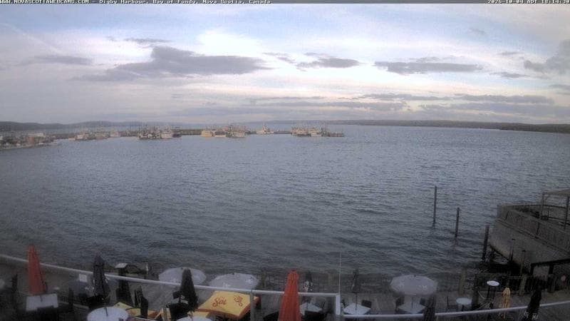 Digby Harbour