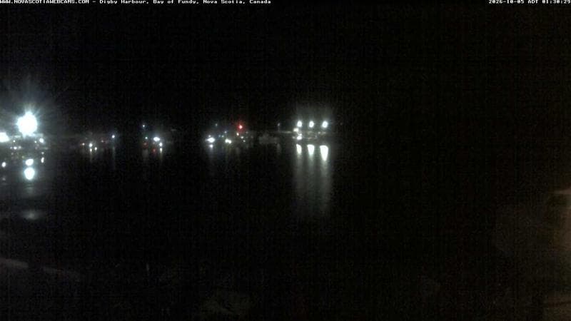 Digby Harbour