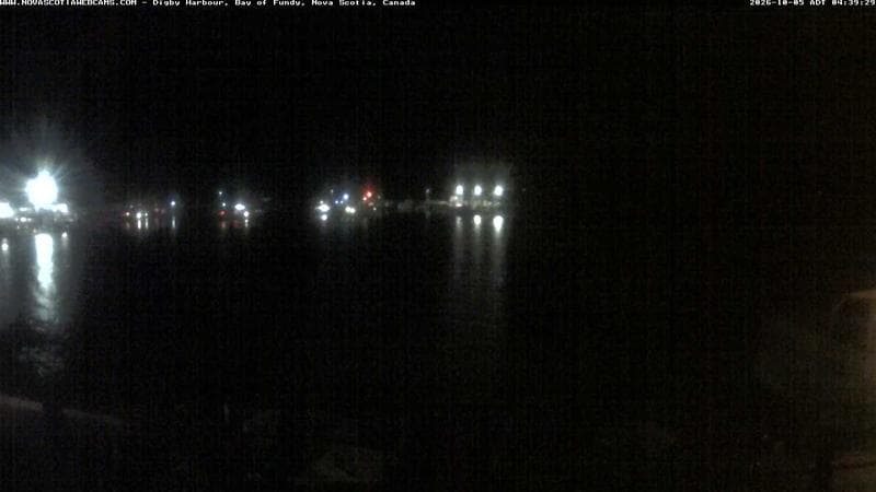 Digby Harbour