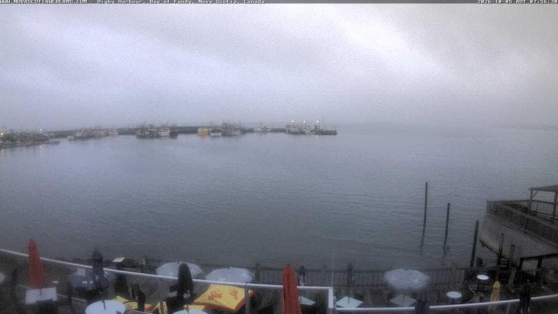 Digby Harbour