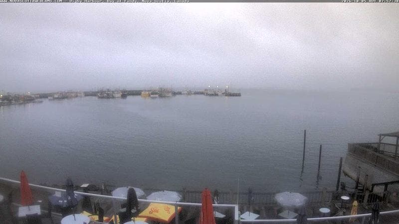 Digby Harbour