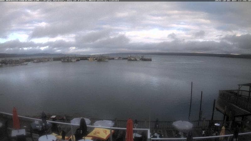 Digby Harbour