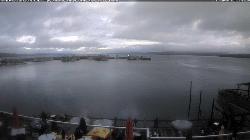 Digby Harbour
