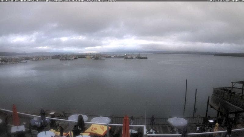 Digby Harbour