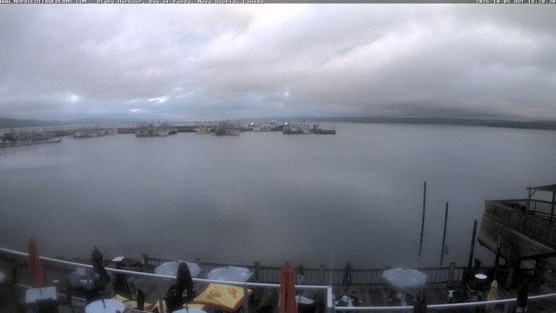 Digby Harbour