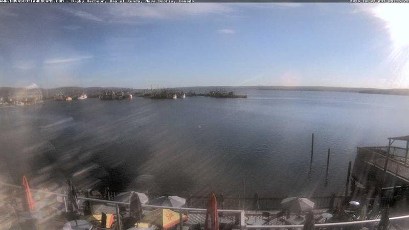 Digby Harbour