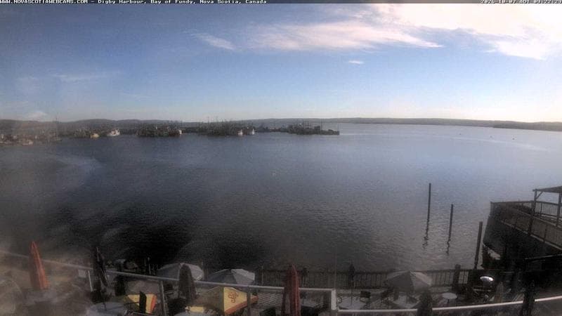 Digby Harbour