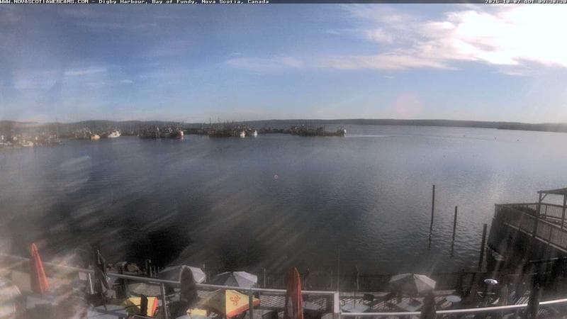 Digby Harbour