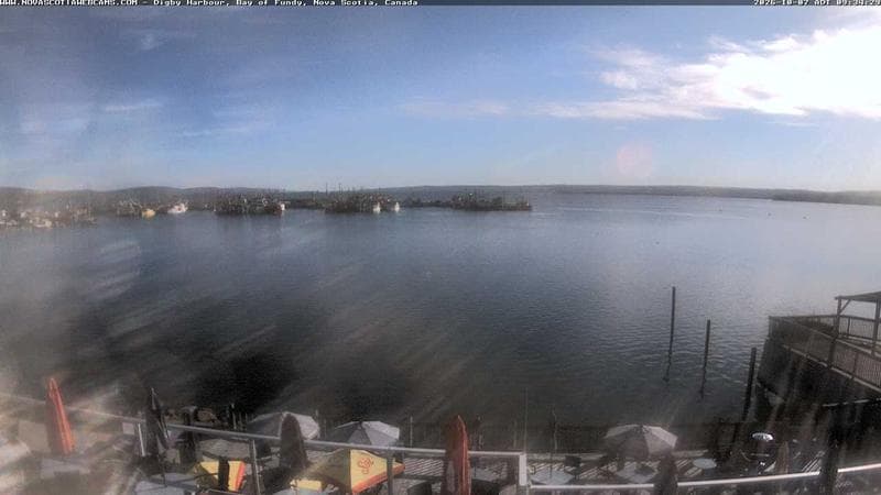 Digby Harbour