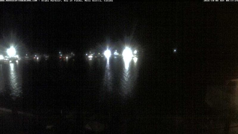 Digby Harbour
