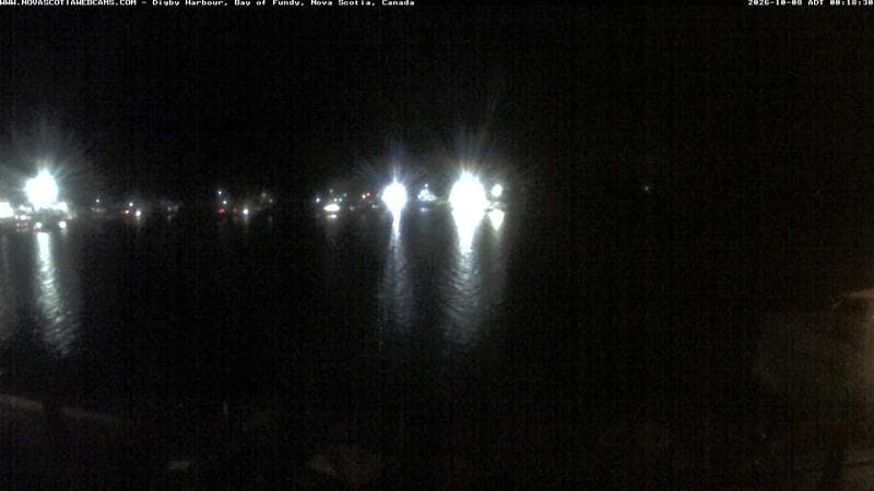 Digby Harbour