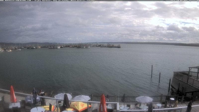 Digby Harbour