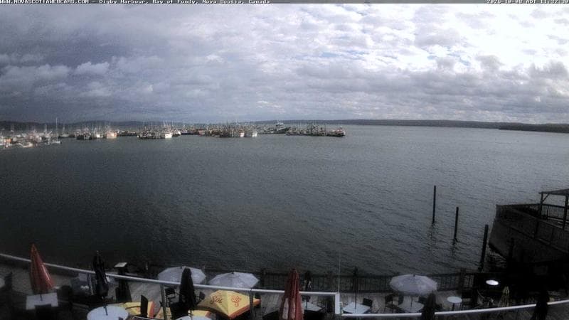Digby Harbour
