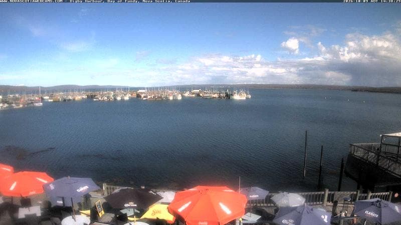 Digby Harbour
