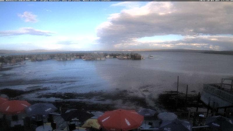 Digby Harbour