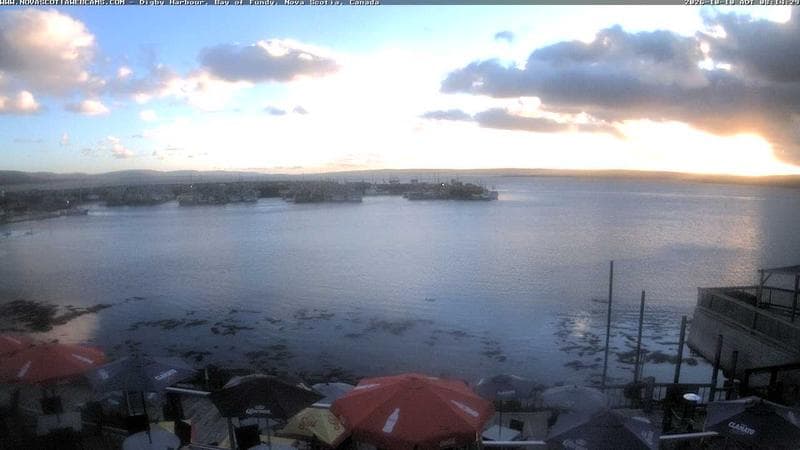 Digby Harbour