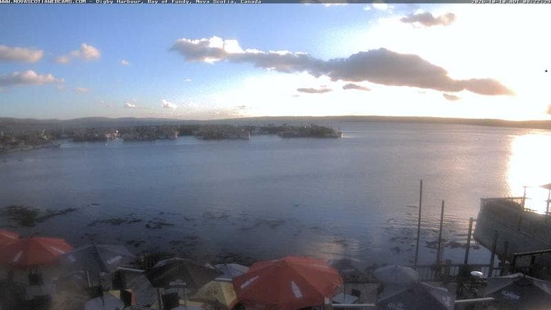 Digby Harbour